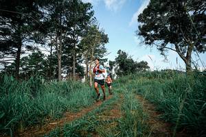 BIB: 
                            <button type="button" onclick="openModal(26008700)" class="btn btn-primary btn-sm float-right btn-popup" data-toggle="modal" data-target=".modal-high-quality">
                        <i class="fas fa-shopping-cart"></i> Add to Cart
                    </button>
                                            <button type="button" onclick="isThisMe(26008700, true)" class="btn btn-success btn-sm float-right btn-popup btn-isme hidden" data-toggle="tooltip" data-placement="bottom" title="นี่คือรูปของคุณใช่ไหม คลิกที่นี่เพื่อเอาเข้าอัลบั้ม">
                        <i class="fas fa-plus"></i> Add to album
                    </button>
                    <button type="button" onclick="isThisMe(26008700, false)" class="btn btn-warning btn-sm float-right btn-popup btn-isnotme hidden">
                        <i class="fas fa-ban"></i> Remove from album
                    </button>